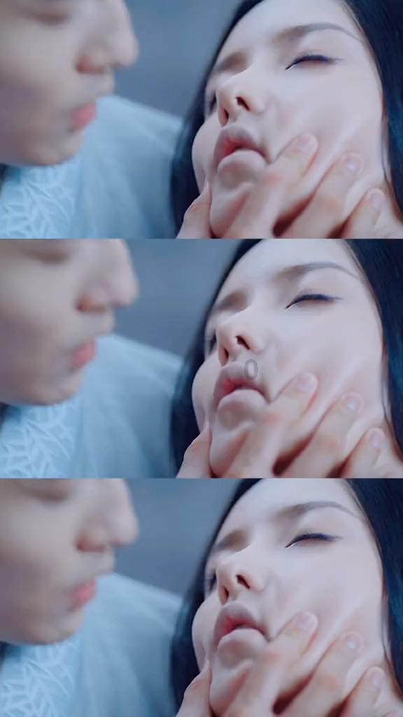 白莲花守则